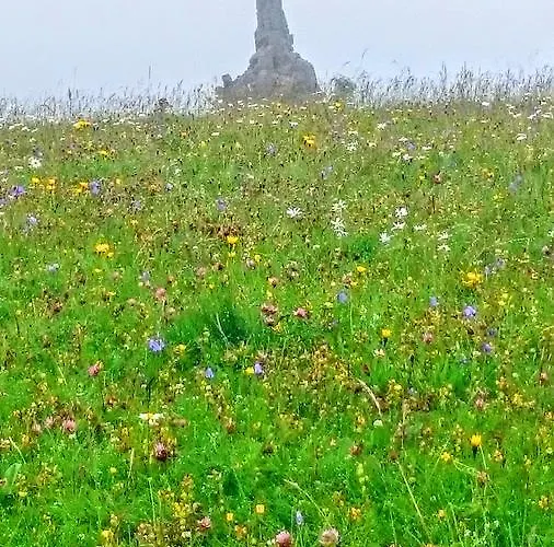 Haus Am Grasberg 招待所